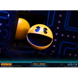 Pacman - Pacman - PVC F4F