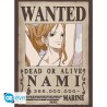 Set 2 Chibi Poster - Nami & Robin - One Piece
