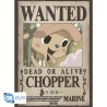 Set 2 Chibi Poster - Chopper & Brook - One Piece