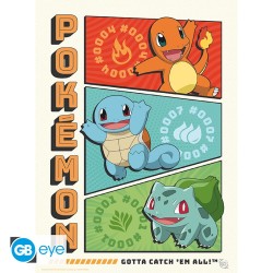 Portfolio posters - Starters - Pokemon