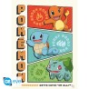 Portfolio posters - Starters - Pokemon