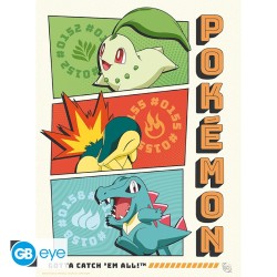 Portfolio posters - Starters - Pokemon