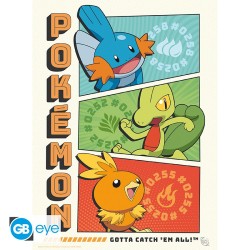Portfolio posters - Starters - Pokemon