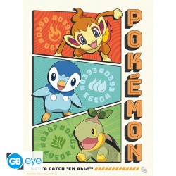 Portfolio posters - Starters - Pokemon
