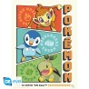 Portfolio posters - Starters - Pokemon