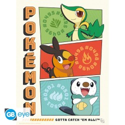 Portfolio posters - Starters - Pokemon