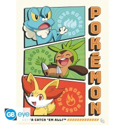 Portfolio posters - Starters - Pokemon