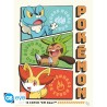 Portfolio posters - Starters - Pokemon