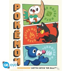 Portfolio posters - Starters - Pokemon