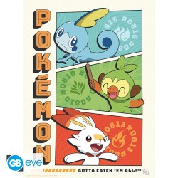 Portfolio posters - Starters - Pokemon