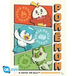 Portfolio posters - Starters - Pokemon