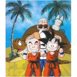 Album Photo - Dragon Ball - Personnages - 64 Photos