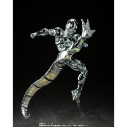 S.H Figuart - Metal Cooler - Dragon Ball Z