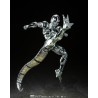 S.H Figuart - Metal Cooler - Dragon Ball Z