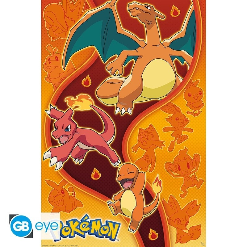 Poster - Type Feu - Pokemon - Roulé et filmé