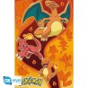 Poster - Type Feu - Pokemon - Roulé et filmé