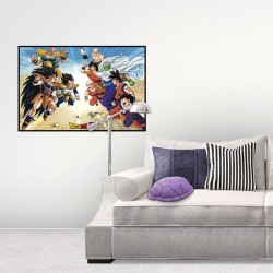 Coussin - Carapace Tortue Géniale - Dragon Ball Z