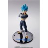 S.H. Figuarts - Dragon Ball - Super Saiyan God Vegeta