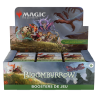 MTG - Play Booster - Bloomburrow - FR