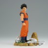 Son Gohan (Adulte) - Dragon Ball Z - History Box