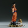 Son Gohan (Adulte) - Dragon Ball Z - History Box