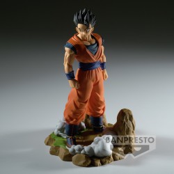 Son Gohan (Adulte) - Dragon Ball Z - History Box