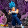 Vegetto (Special XIX) - Dragon Ball : Super - Blood of Saiyans