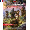 Livre - Dungeons et Dragons - Phandelver and Below: The Shattered Obelisk - FR