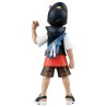 MonColle - Dresseur - Roy - Pokemon