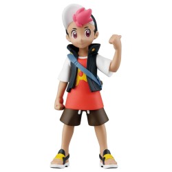 MonColle - Dresseur - Roy - Pokemon
