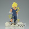Vegeta (Majin) - Dragon Ball Z - History Box
