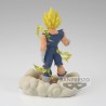 Vegeta (Majin) - Dragon Ball Z - History Box