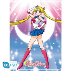 Set 2 Chibi Poster - Sailor Moon & chats - Sailor Moon