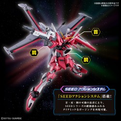 High Grade - Infinite Justice Type II - Gundam : Seed Freedom