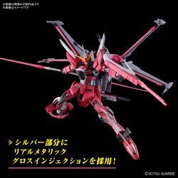 High Grade - Infinite Justice Type II - Gundam : Seed Freedom