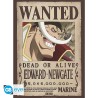 Set 2 Chibi Poster - Wanted Roger & Newgate - One Piece