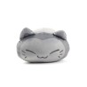 Peluche - Nemuraccoon - Nemuneko