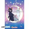Poster - Luna, Artemis et Diana - Sailor Moon - Roulé et filmé