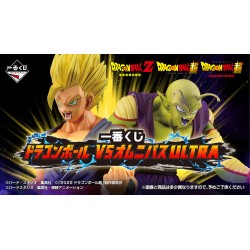 Ichibankuji - Dragon Ball Z...
