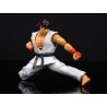 Ryu - Street Fighter II : The Final Challengers