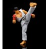 Ryu - Street Fighter II : The Final Challengers