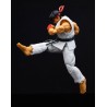 Ryu - Street Fighter II : The Final Challengers