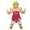 Broly - Dragon Ball Z - Blood of Saiyans