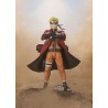 S.H.Figuarts - Naruto Uzumaki Sage Mode - Naruto Shippuden