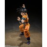 S.H.Figuart - Son Goku - Dragon Ball Super - Super Hero