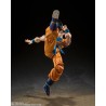 S.H.Figuart - Son Goku - Dragon Ball Super - Super Hero