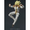 Digaction - Shin & Heart - Ken, le Survivant