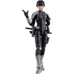 S.H.Figuarts - Hoshina...