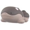 MonColle - MS-43 - Terraiste - Pokemon