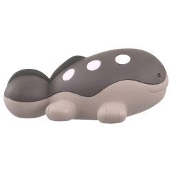 MonColle - MS-43 - Terraiste - Pokemon